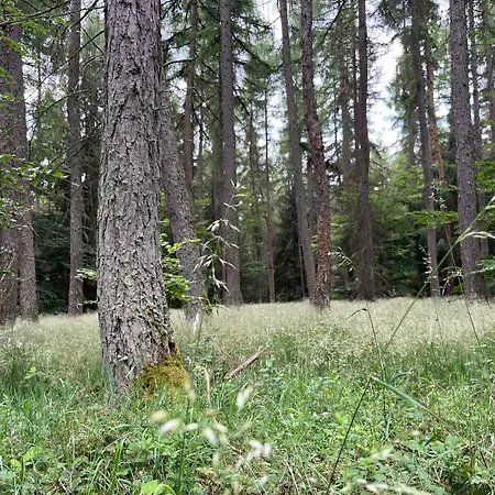 Anton Design Appartamento *