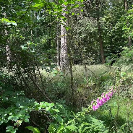 Appartamento Anton Design *