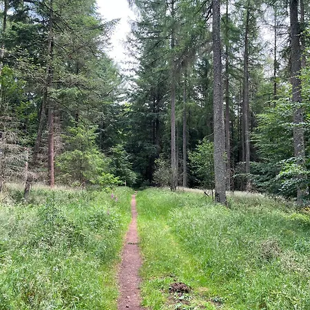 Appartamento Anton Design Braunlage