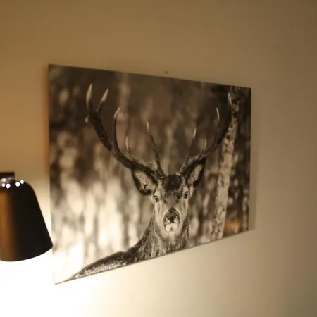 Anton Design Braunlage