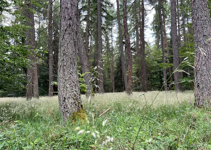 Anton Design Апартаменты *