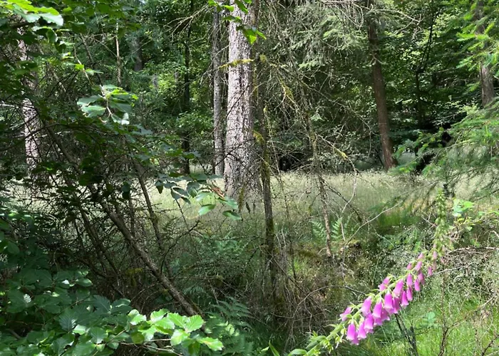 Апартаменты Anton Design *